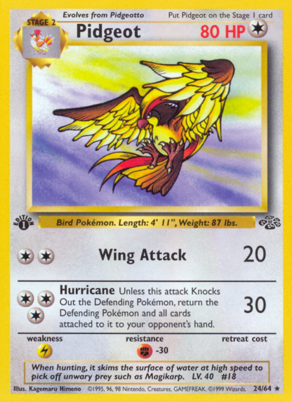Pidgeot - Jungle