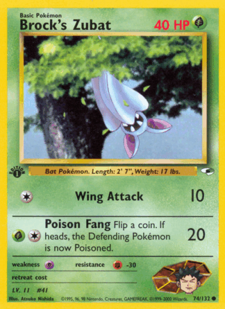 Brock's Zubat - Gym Heroes