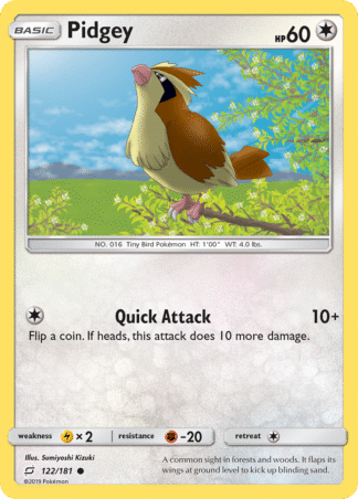 Pidgey Reverse - Team Up