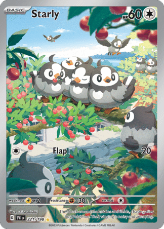Starly - Scarlet & Violet