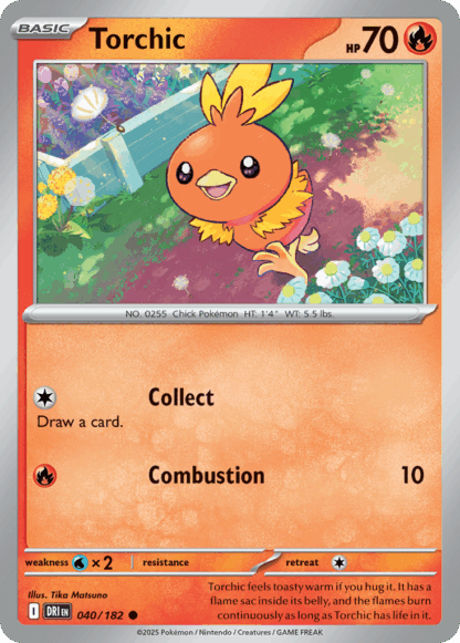 Torchic Reverse - Destined Rivals