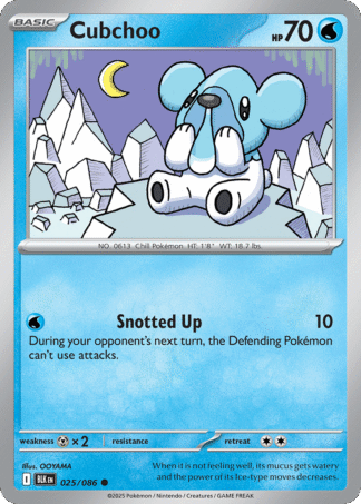 Cubchoo Poke Ball - Black Bolt