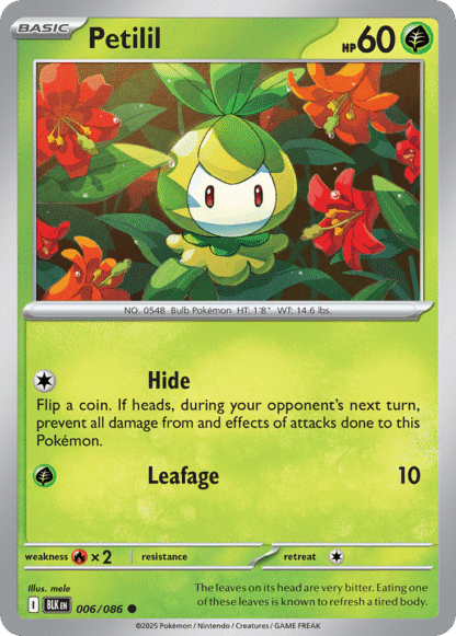 Petilil Master Ball - Black Bolt