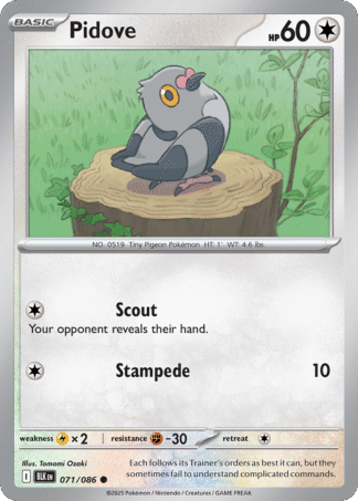 Pidove Poke Ball - Black Bolt