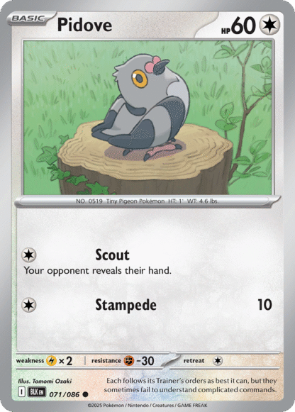 Pidove Poke Ball - Black Bolt
