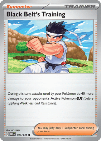Black Belt's Training Poke Ball - Prismatic Evolutions