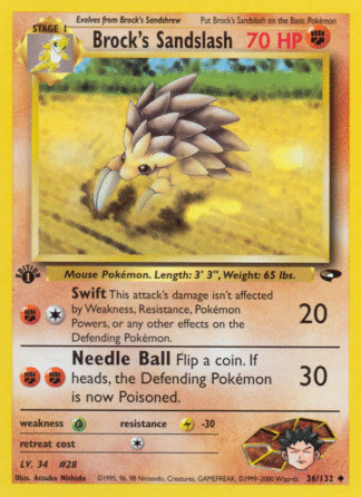 Brock's Sandslash - Gym Challenge