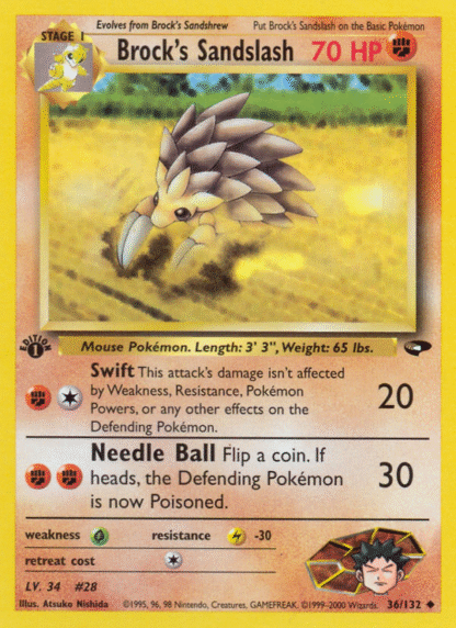 Brock's Sandslash - Gym Challenge