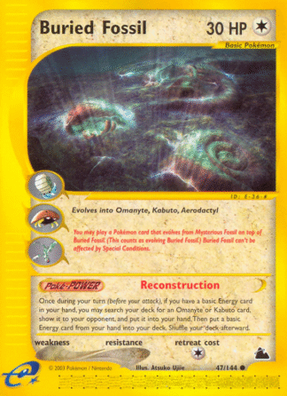 Buried Fossil - Skyridge