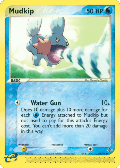 Mudkip - Dragon