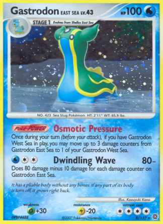 Gastrodon East Sea - Secret Wonders